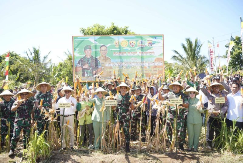 Panglima Komando Daerah Militer (Pangdam) IX/Udayana, Mayor Jenderal TNI Bambang Trisnohadi, memimpin panen raya jagung bersama kelompok tani Pade Angen di Desa Gunung Malang, Lombok Timur, Sabtu (4/5/2024). (Foto: Humas KOREM 162/WB)