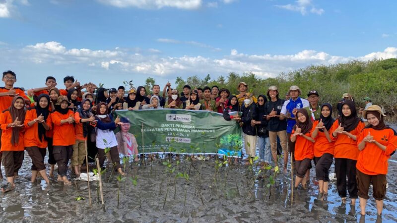 Sebanyak 100 peserta melakukan penanaman pohon mangrove di pulau kaung, Kecamatan Buer, Kabupaten Sumbawa pada Jumat (19/07/2024). Foto (Nanda Bayu Dermawan).